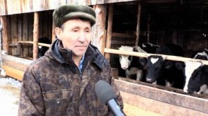 ЛПХ Яшкиных