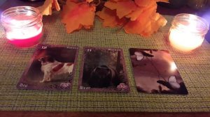 ГАДАНИЕ КАРТА ДНЯ НА 8 ОКТЯБРЯ 2019г.Оракул Ленорман"Лилово-вишневые сумерки"