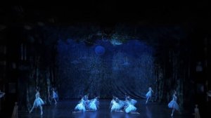 Балет "Щелкунчик" Эрмитажный театр Санкт-Петербург 2018 солистка Елена Коцюбира