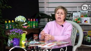 Что сажать на рассаду в феврале ✔️ Что посеять зимой ✔️ Овощи и Цветы на рассаду