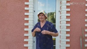 Живая изгородь из туи брабант