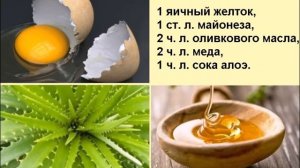 Сухая перхоть: лечение в домашних условиях…