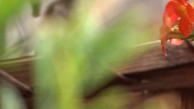 Sony DSC-HX400V Camera/video test смотреть онлайн