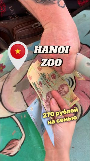 Зоопарк за 80 тыс VND на четверых | 270 рублей ‼️ HANOI ZOO