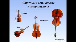 Музыкальные инструменты (смычковые и щипковые)