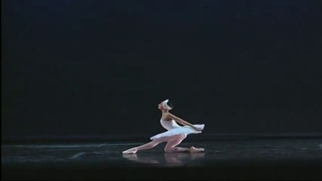 Dying Swan from "Carnival of the Animals" danced by Evgenia Singur смотреть онлайн