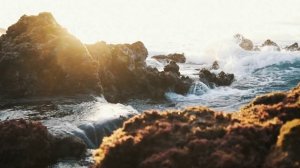 Звуки Тихого Океана/Визуальное Присутствие/Шум волны Океана/Прибой/Океан