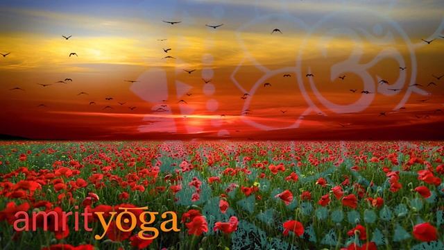 YogaNidra Kalindi смотреть онлайн