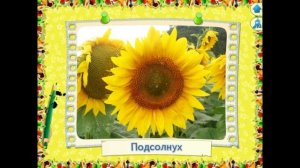 Урок для детей. Учим основные цвета, для детей 2-3 лет