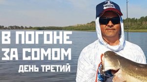 В ПОГОНЕ ЗА СОМОМ. ДЕНЬ ТРЕТИЙ. БУЗАН. ЛЕТО 2024. СЕРИЯ 6