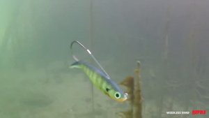 Блесна-незацепляйка RAPALA Weedless Shad