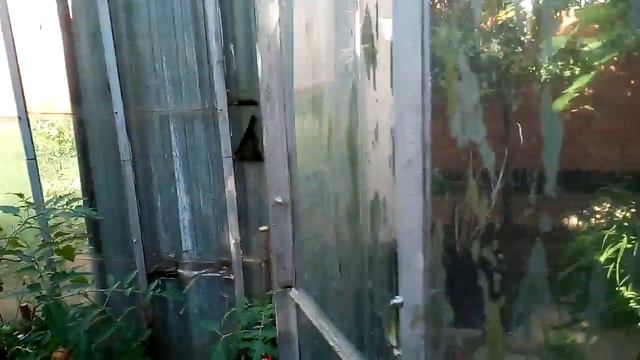 Чувашия г Чебоксары д Клычево ...мы ходим показать как живём в деревне Клычево семя Ивановы смотреть онлайн