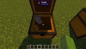 Visuals [1.12.2] [Minecraft моды]