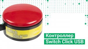 Контроллер Switch Click USB