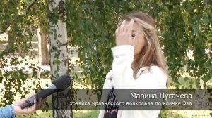 ИРЛАНДСКИЙ ВОЛКОДАВ. Все о породе! IRISH WOLFHOUND