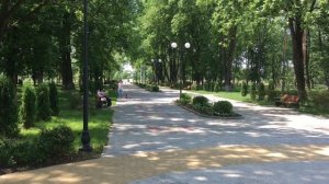 Краснодарский край станица Динская. Прогулка по Комсомольскому парку 12 июня 2020 года.