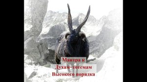 Шаманская Мантра Ведьмы к Добрым Духам-Тотемам - это подарок тем, кто идёт по пути Духовности