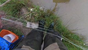 Пруд на участке. Как и чем мы кормим рыбу и раков в своём пруду на даче. Корм и кормушки для рыбы.