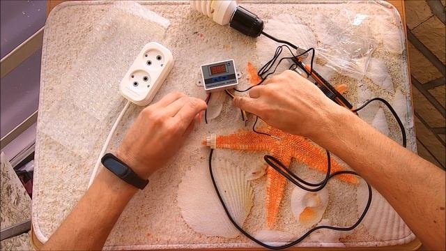 Терморегулятор Термостат Универсальный | Антикризисный Вариант из Китая | Распаковка Отзыв Обзор