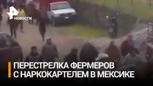 Фермеры устроили перестрелку с участниками наркокартеля в Мексике / РЕН Новости