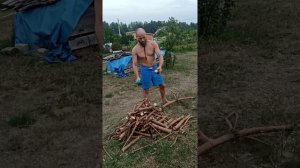 мини пила цепная аккумуляторная. пилим сосну.