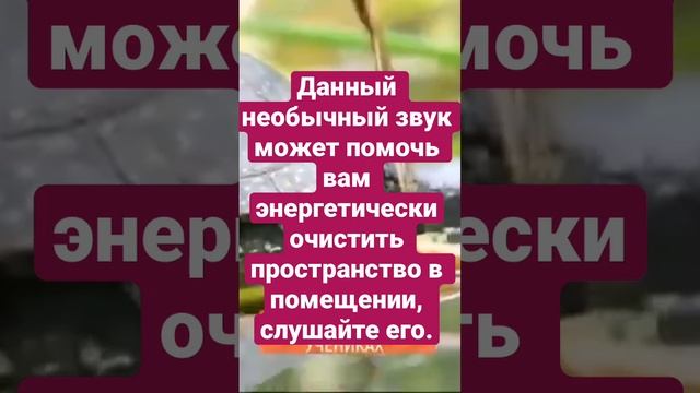 Очищение пространства шум дуйко соушать