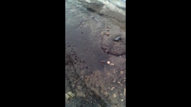 Мост в д. Тютьково Ступинского района