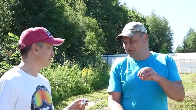 Питомник нимфей "Ватерлилия" Смотрим на новые сорта нимфей