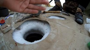 Секретное озеро | где рыбачит весь Омск | Карась | Окунь |Рыбалка в Омске|