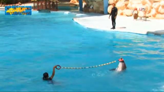 египет#отдыхвегипте#экскурсиивегипте#sharmelsheikh#шармэльшей2020#egypt#египет#красноеморе#трэвел24
