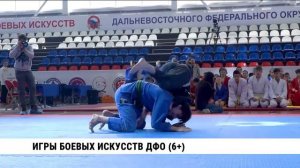 Игры боевых искусств ДФО начались в Хабаровске