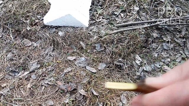 СУПЕР ПРИВИВКА Груши (и яблони). РЕЗУЛЬТАТ ЧЕРЕЗ ГОД. Grafting of Fruit Trees. Окулировка / PRO опы смотреть онлайн