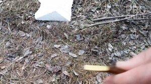 СУПЕР ПРИВИВКА Груши (и яблони). РЕЗУЛЬТАТ ЧЕРЕЗ ГОД. Grafting of Fruit Trees. Окулировка / PRO опы
