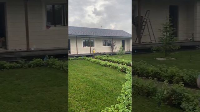 Посадка деревьев и кустарников смотреть онлайн