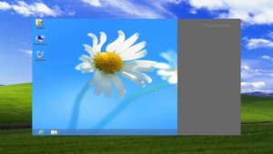 Худшие версии Windows