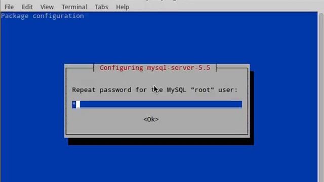Install MySQL On Linux смотреть онлайн