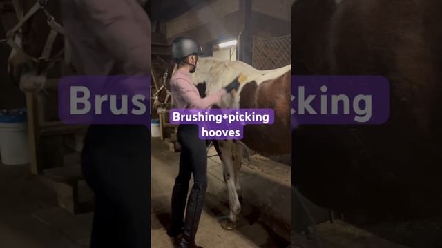 Come to my riding lesson with me!