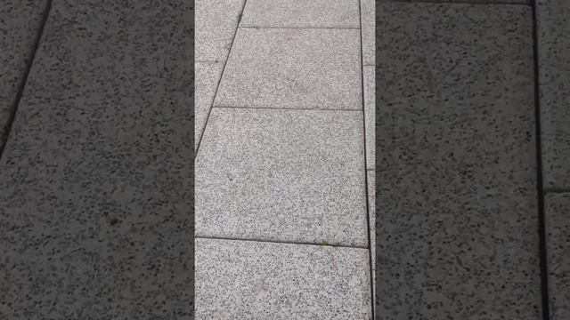 Чиж и Компания под гитару O-Ш смотреть онлайн