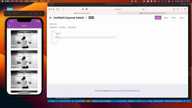 Flutter - 73. Create a Fake JSON