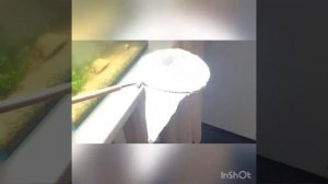 Как сделать сачок для выдавливания рыб из аквариума