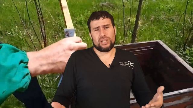 Как получать много меда от отводков пчел. Как сделать отводок пчел и получить мед
