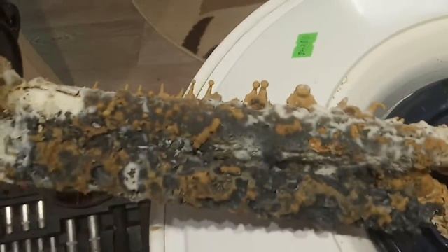 Чистка водонагревателя Termex смотреть онлайн