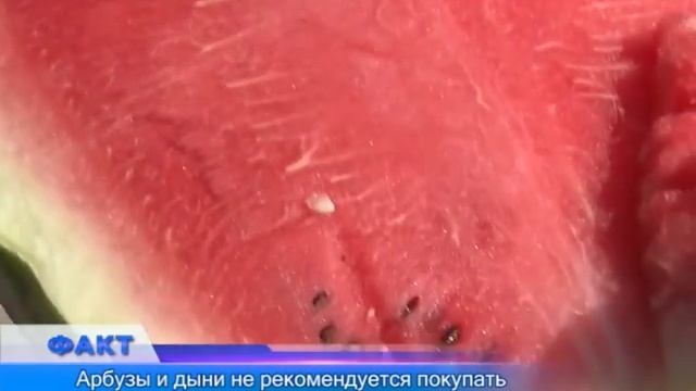 Арбузы и дыни не рекомендуется покупать в местах стихийной торговли смотреть онлайн
