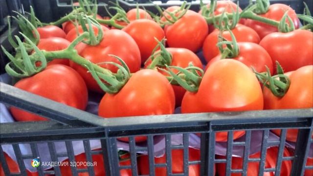 Нитраты в продуктах. Пестициды в продуктах питания