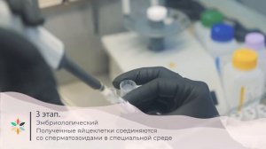 Процедура ЭКО