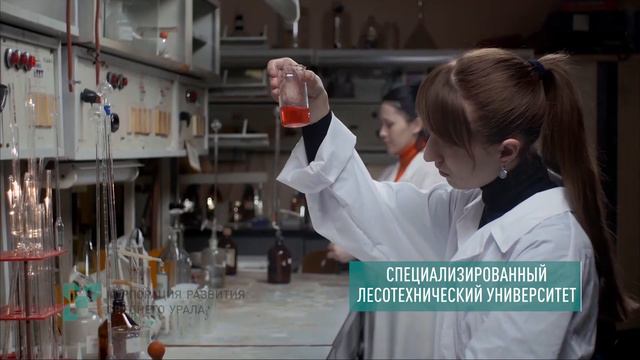 Презентация Свердловской области. Лесопромышленный комплекс