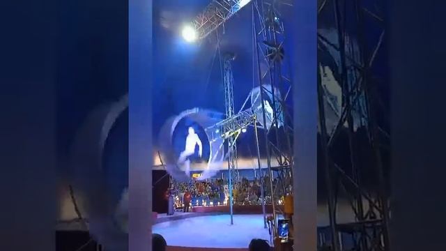 В цирке с Серебряной водой! Сюжет клиента нашей компании Альмиры Х. смотреть онлайн