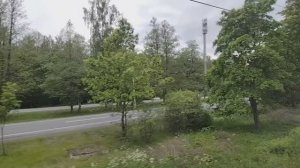 По дороге в Лисий Нос