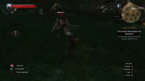 The Witcher 3: The Witches of Crookback Bog & Is that Anna?  (Part 12)