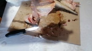 Как разделать налима! Простой способ. Закусон из налима. Печень налима.